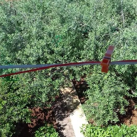 Διαμέρισμα Bella Vista Park View Πόρετς