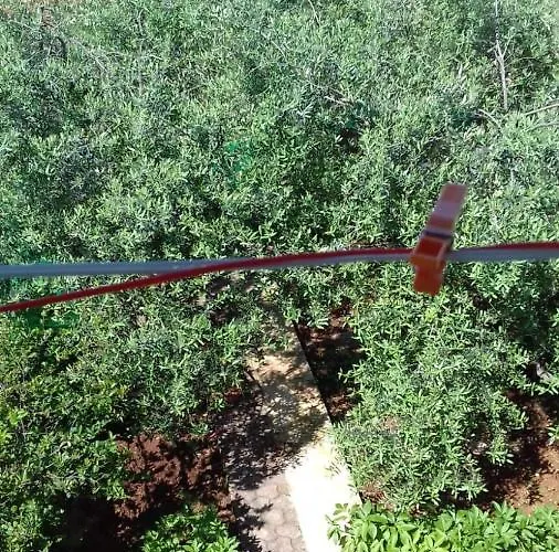 Apartman Bella Vista Park View Poreč