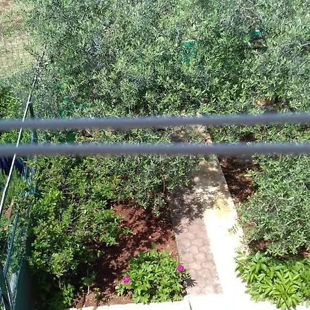 Bella Vista Park View